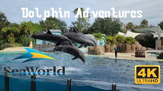 NEW SHOW First EVER Dolphin Adventures at SeaWorld San Diego [upl. by Tessil947]