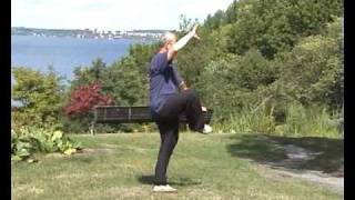 Taijiquan 48 forms 48式太极拳 [upl. by Baumbaugh612]