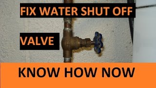 Water Valve Wont Shut Off Water [upl. by Aerdnaxela]