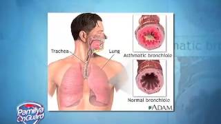 THIRDHAND SMOKE MAY CAUSE CANCER EXPERTS [upl. by Fairlie]