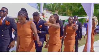 The hottest Bridal party entrance 🥳🥳🔥 [upl. by Kutchins]