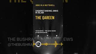 Jinns in Islam The Qareen Jinns  Jinns in a Nutshell [upl. by Jenkins]