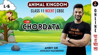 Chordata  Animal Kingdom  CBSE Class 11 Biology Chapter 4  NCERT Biology  NEET Biology [upl. by Annyl]