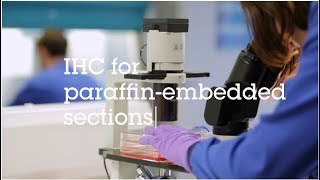 IHC for paraffin embedded sections video protocol [upl. by Duval]