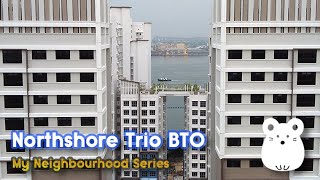 Northshore Trio BTO  Relaxing Abode [upl. by Anaejer]