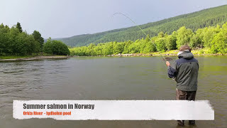 Salmon fishing River Orkla [upl. by Anuaf]