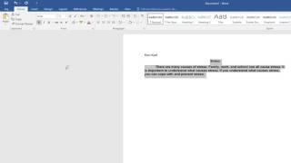 Microsoft Word Basics [upl. by Aleet804]