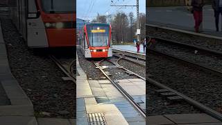 trending bergen visitbergen youtubeshorts norway raindays 🇳🇴 [upl. by Erdrich]