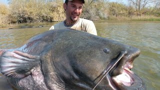 Catfishing in Delta Ebro  Catfish Over 220 pounds by Catfish World [upl. by O'Grady849]