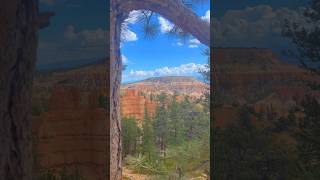 Into the Hoodoos Queen’s Garden Trail Bryce Canyon National Park naturehike [upl. by Mignon392]