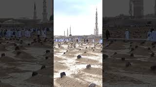 JannatulBaqee🥰jannatulbaki sunni madinah saudi [upl. by Marti687]