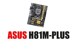 ASUS H81Mplus First look and Impressions [upl. by Diver]