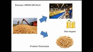 Agroindústria conceito objetivos missão [upl. by Ffirahs57]