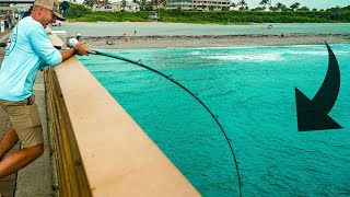 BATTLING PIER GIANTS Juno Pier Fishing [upl. by Aihc]