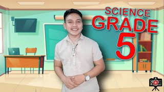 SCIENCE grade 5 [upl. by Ahsinned]