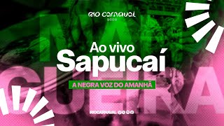 SAMBASENREDO 2024  GRANDE RIO  O NOSSO DESTINO É SER ONÇA  VERSÃO DA ESCOLA [upl. by Yrannav]