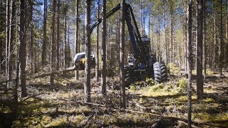 Vimek Forestry Machines [upl. by Yaffit10]