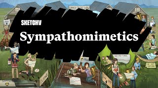 Sympathomimetics Exploring Functions and Effects Part 1  Sketchy Medical  USMLE Step 1 [upl. by Suryc]