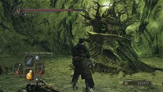 DARK SOULS 2 WHIP DAT TREE [upl. by Ahsem]