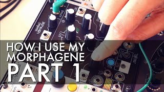 How I use My Morphagene Part 1 [upl. by Ahsinwad]