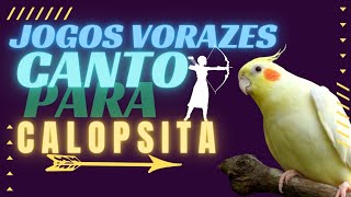 CANTO JOGOS VORAZES PARA CALOPSITA [upl. by Autry]