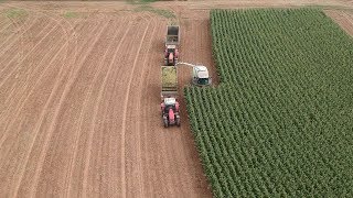 Final Corn Silage Harvest of 2019  Packing and Covering Bunker Silos [upl. by Yenttirb123]