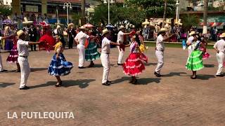 Sones y Chilenas de Putla Audio Putla Villa de Guerrero Oaxaca [upl. by Ahsiniuq930]