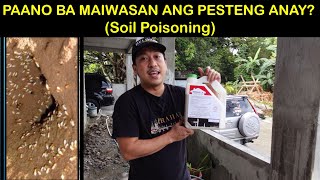 House Construction Ep 08  Termite Control Soil Poisoning [upl. by Saffier]