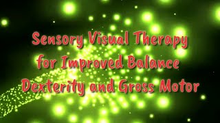 Sensory Therapy Visual Light Tunnel Extended [upl. by Portland301]