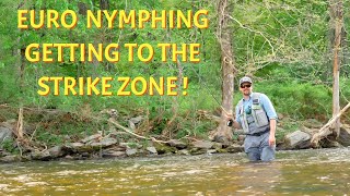 Getting Flies to Strike Zone  Euro Nymphing Techniques [upl. by Ahcirt]