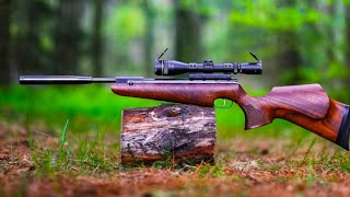 BSA R10 Special  Air Rifle Review [upl. by Laon592]