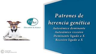 ✳️ Patrones de herencia genética 🧬👨‍👩‍👧‍👦🔍 [upl. by Asilem947]