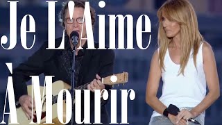 Francis Cabrel amp Céline Dion  Je LAime À Mourir OnScreen Lyrics [upl. by Griggs]