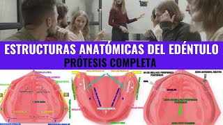 ESTRUCTURAS ANATÓMICAS DEL EDÉNTULO [upl. by Etnaed]