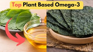 The Best PlantBased Omega3 Sources and Why You Need Them [upl. by Fedirko]