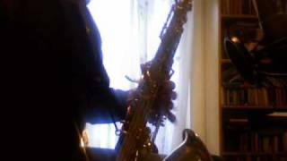 Selmer Reference 36 vs Yanagisawa T901 Tenor Sax [upl. by Ydnim500]