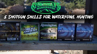 Ammo Review 5 Shotgun Shells for Waterfowl Hunting [upl. by Anella466]