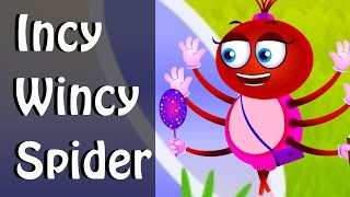 Incy Wincy Spider Itsy Bitsy SpiderNursery Rhyme [upl. by Graf]