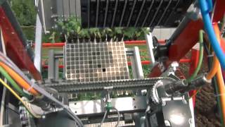 Techmek Magika Fully Automatic Transplanter with ChecchiampMagli [upl. by Reibaj313]