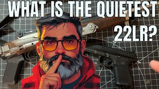 What is the most quiet 22 22LR vs 22 Short vs 22 Pellets [upl. by Schoenfelder]