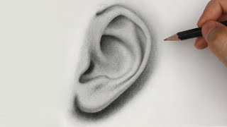 How to Draw Ears  Side View [upl. by Assek]