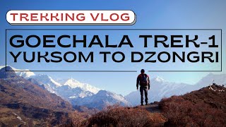 Trekking to Goecha La Mountain Pass  Yuksom to Dzongri  Part 01 [upl. by Anahsal]