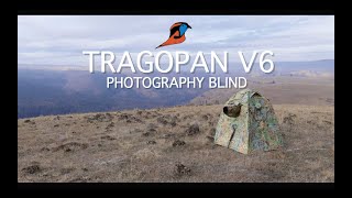 Tragopan V6 Photography Blind  FEATURES [upl. by Adrahs927]