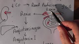 Heart Failure 6 Renin angiotensin aldosterone system [upl. by Rehttam]