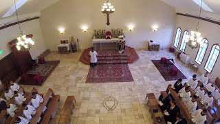 Low Mass One Server Traditional Latin mass St Thomas Aquinas Seminary Virginia SSPX [upl. by Nerat683]