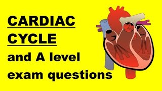 CARDIAC CYCLE and ELECTROCARDIOGRAM ECG TRACES [upl. by Eriha]