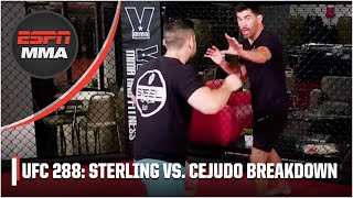 Aljamain Sterling vs Henry Cejudo Where the matchup will be won 👀  UFC 288 [upl. by Had]