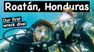 We Spent 1 Week at an UNLIMITED Scuba Diving Resort in Roatan Honduras 1st Wreck Diving [upl. by Janicki124]