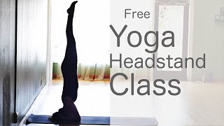 50 Minute Yoga Flow Vinyasa How to do a headstand  Fightmaster Yoga Videos [upl. by Harley]