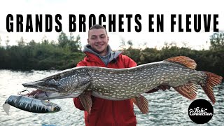 Grands brochets en fleuve avec Sebibou Fishing [upl. by Eolanda309]